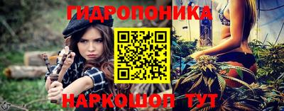 шишки Аргун