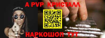 шишки Аргун