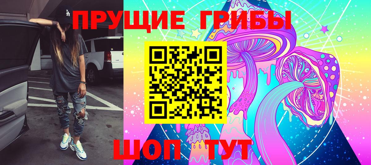Волгодонск  Галлюциногенные грибы Cubensis  Вход с VPN 